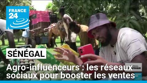 Sénégal : les agro-influenceurs gagnent du terrain